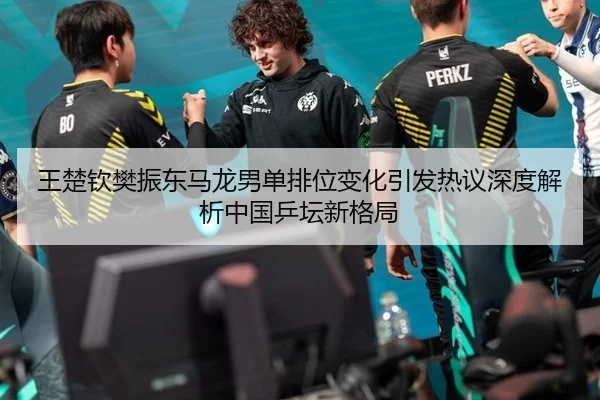 王楚钦樊振东马龙男单排位变化引发热议深度解析中国乒坛新格局